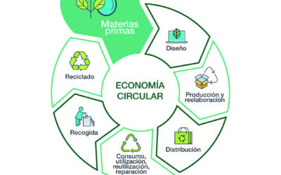Claves de la economía circular.