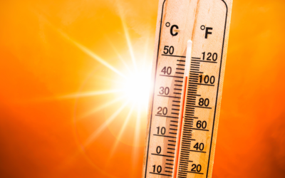 ¿Cómo afecta el calor a los electrodomésticos?