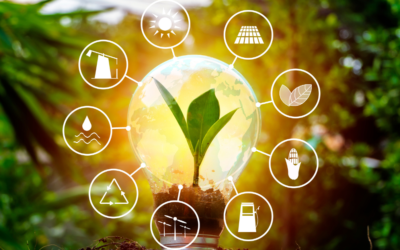 5 razones para apostar por las energías renovables